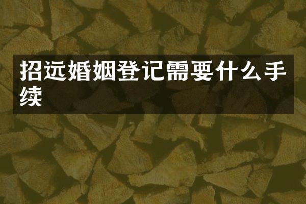招远婚姻登记需要什么手续