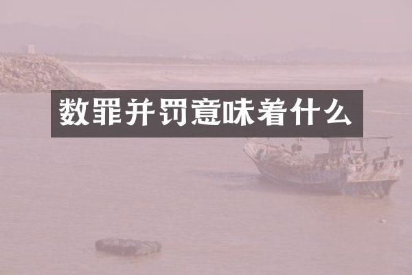 数罪并罚意味着什么