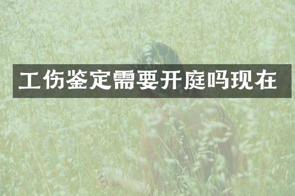 工伤鉴定需要开庭吗现在