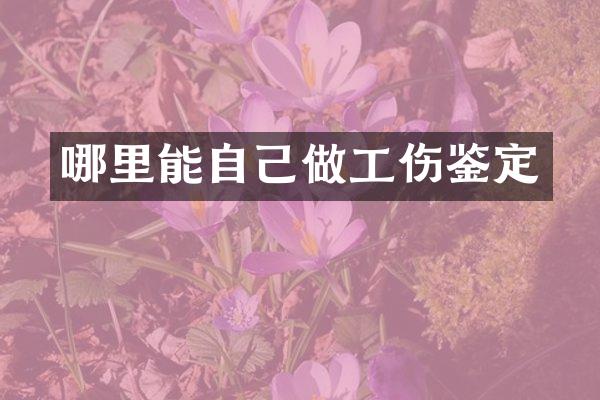 哪里能自己做工伤鉴定