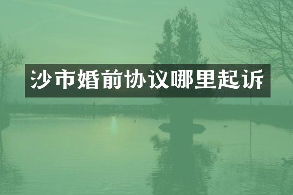沙市婚前协议哪里起诉