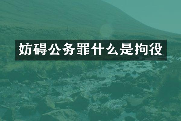 妨碍公务罪什么是拘役