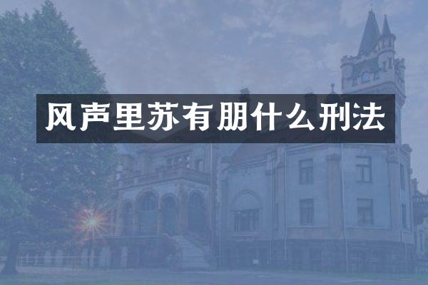 风声里苏有朋什么刑法