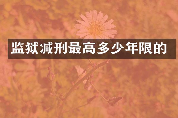 监狱减刑最高多少年限的