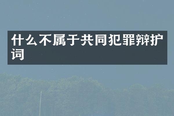 什么不属于共同犯罪辩护词