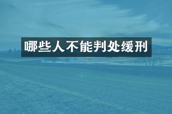 哪些人不能判处缓刑
