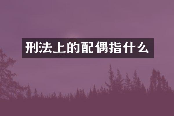 刑法上的配偶指什么