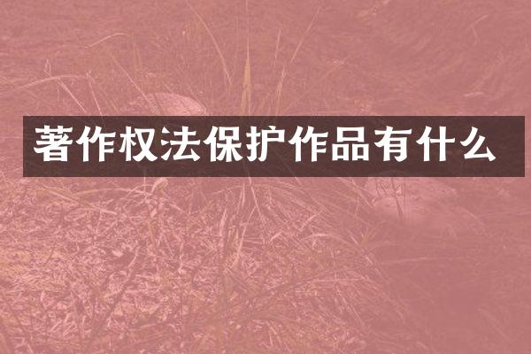 著作权法保护作品有什么