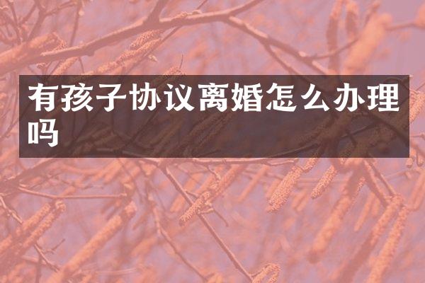 有孩子协议离婚怎么办理吗
