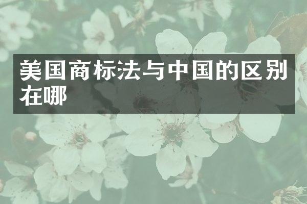 美国商标法与中国的区别在哪