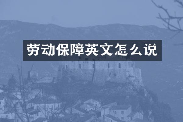 劳动保障英文怎么说