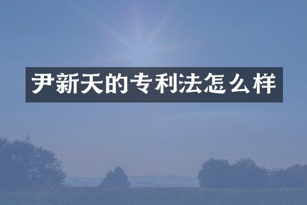 尹新天的专利法怎么样