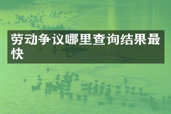 劳动争议哪里查询结果最快