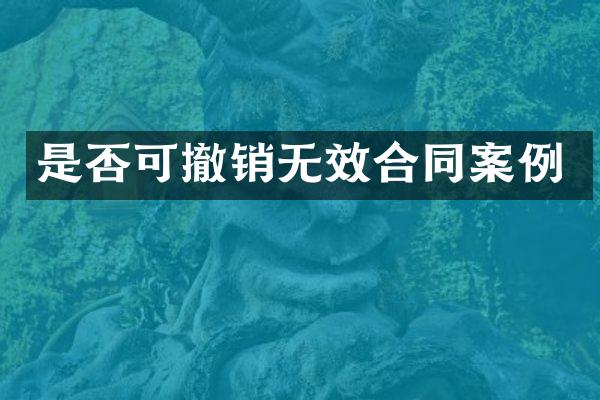 是否可撤销无效合同案例