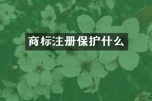 商标注册保护什么