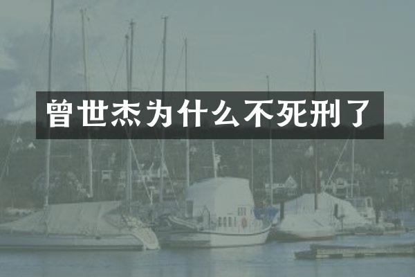曾世杰为什么不死刑了