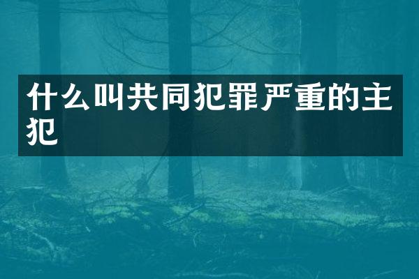 什么叫共同犯罪严重的