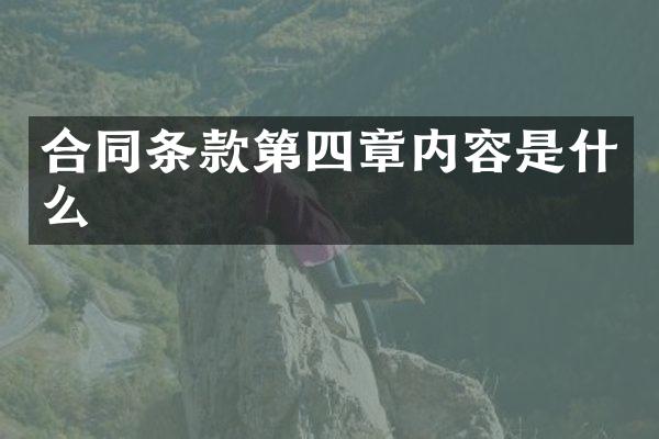 合同条款第四章内容是什么