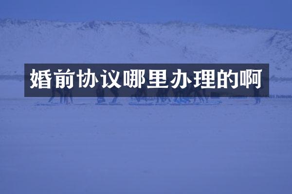 婚前协议哪里办理的啊