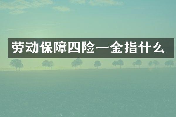 劳动保障四险一金指什么