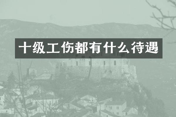 十级工伤都有什么待遇