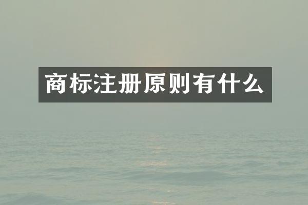 商标注册原则有什么