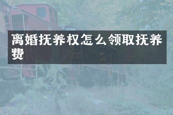 离婚抚养权怎么领取抚养费