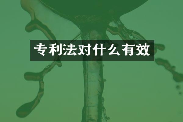 专利法对什么有效