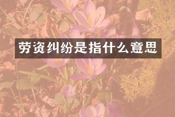 劳资纠纷是指什么意思