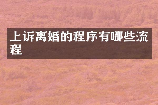 上诉离婚的程序有哪些流程
