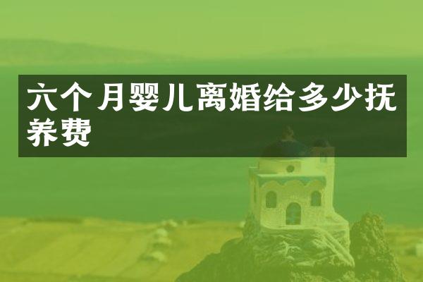 六个月婴儿离婚给多少抚养费