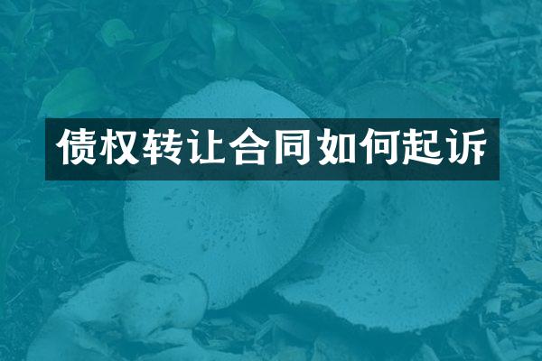 债权转让合同如何起诉