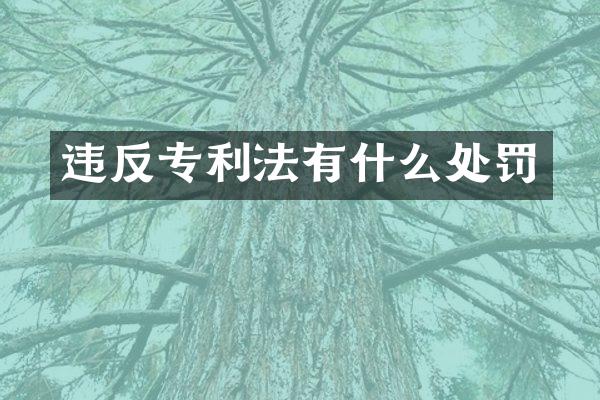 违反专利法有什么处罚