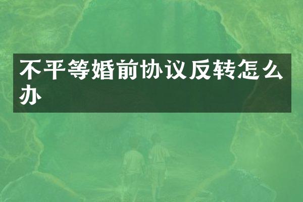 不平等婚前协议反转怎么办