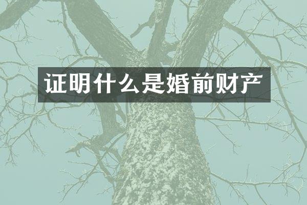 证明什么是婚前财产