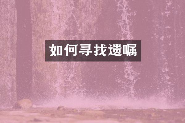 如何寻找遗嘱