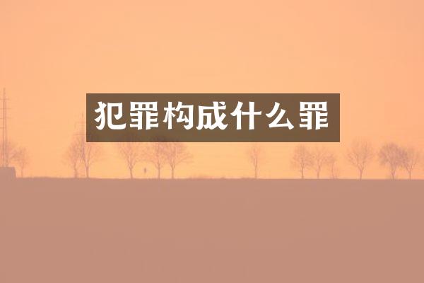 犯罪构成什么罪
