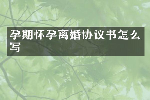 孕期怀孕离婚协议书怎么写