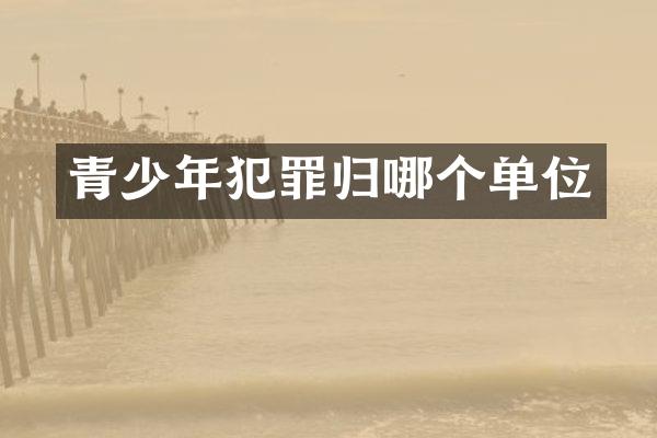 青少年犯罪归哪个单位