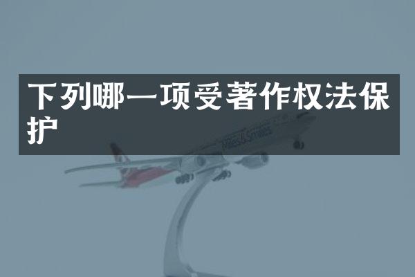 下列哪一项受著作权法保护