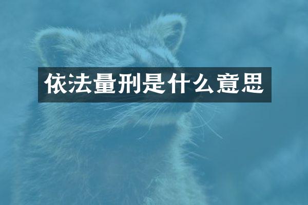 依法量刑是什么意思
