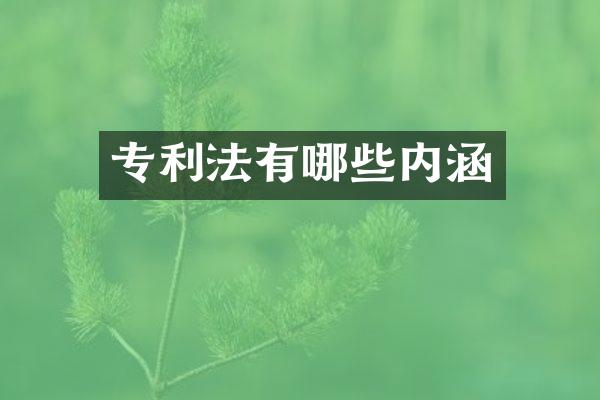 专利法有哪些内涵