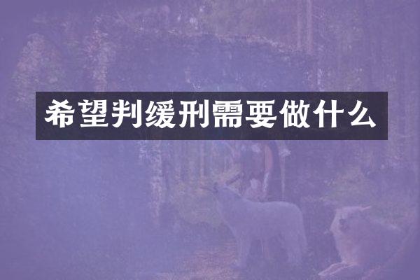 希望判缓刑需要做什么