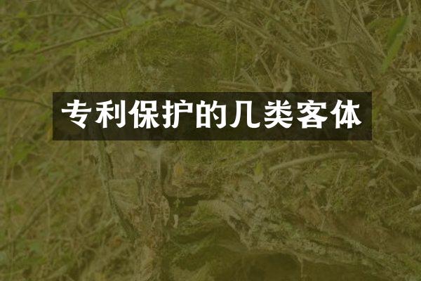 专利保护的几类客体