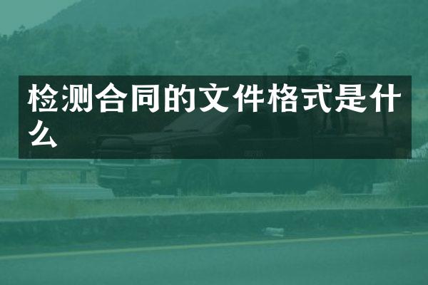 检测合同的文件格式是什么