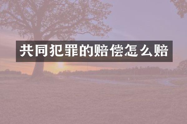 共同犯罪的赔偿怎么赔