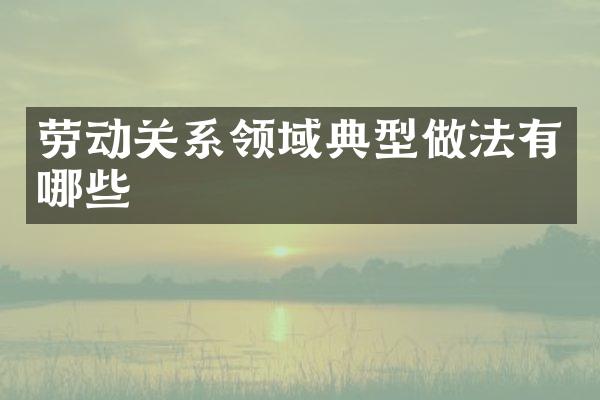 劳动关系领域典型做法有哪些