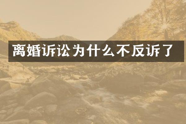 离婚诉讼为什么不反诉了