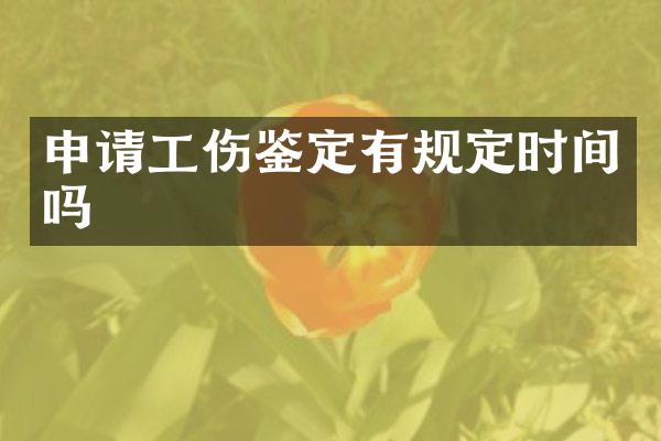 申请工伤鉴定有规定时间吗