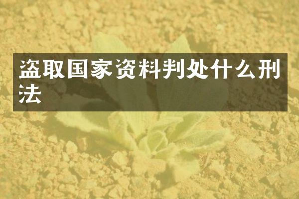 盗取国家资料判处什么刑法